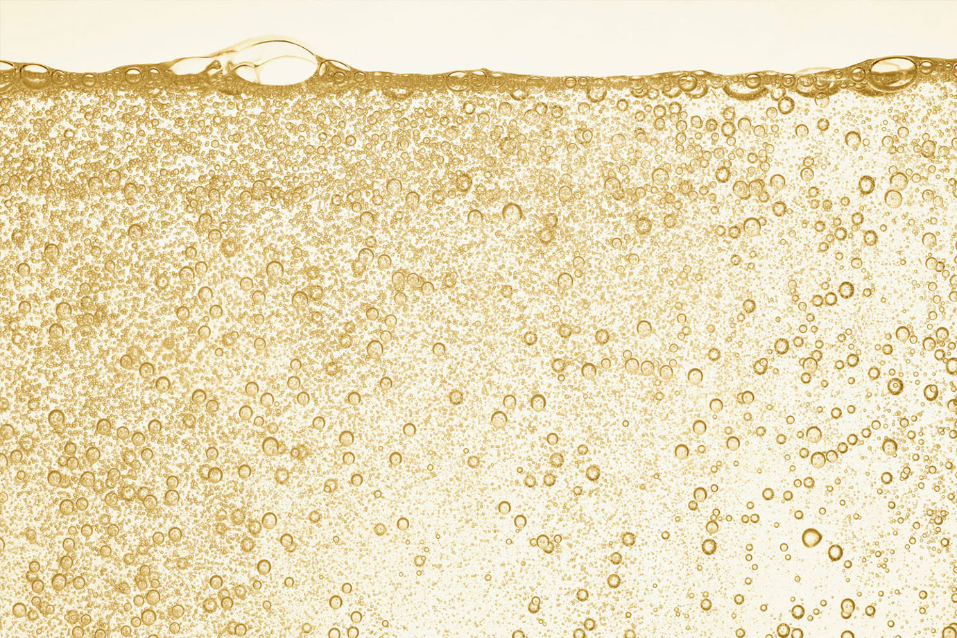 Banner Image 2