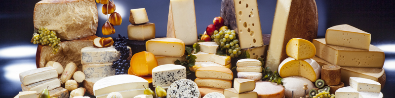 Cheese