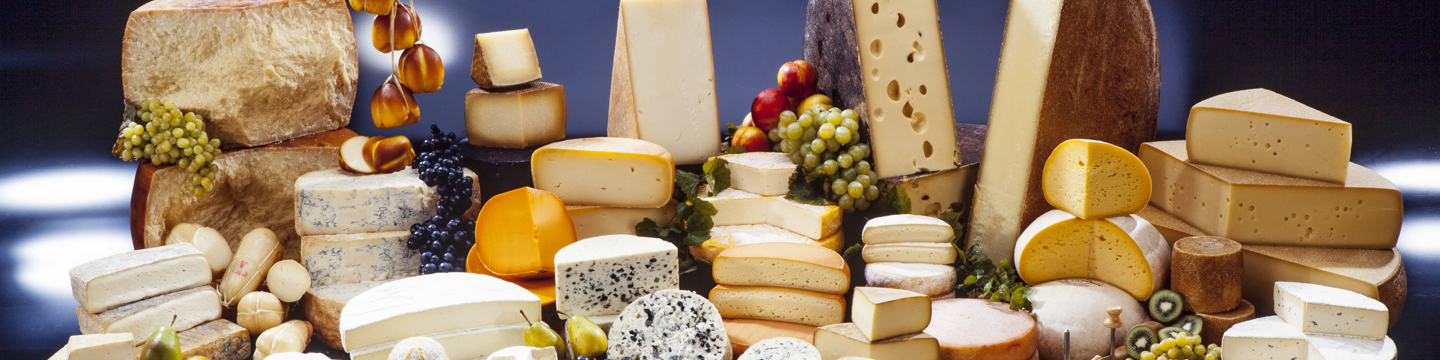 Cheese