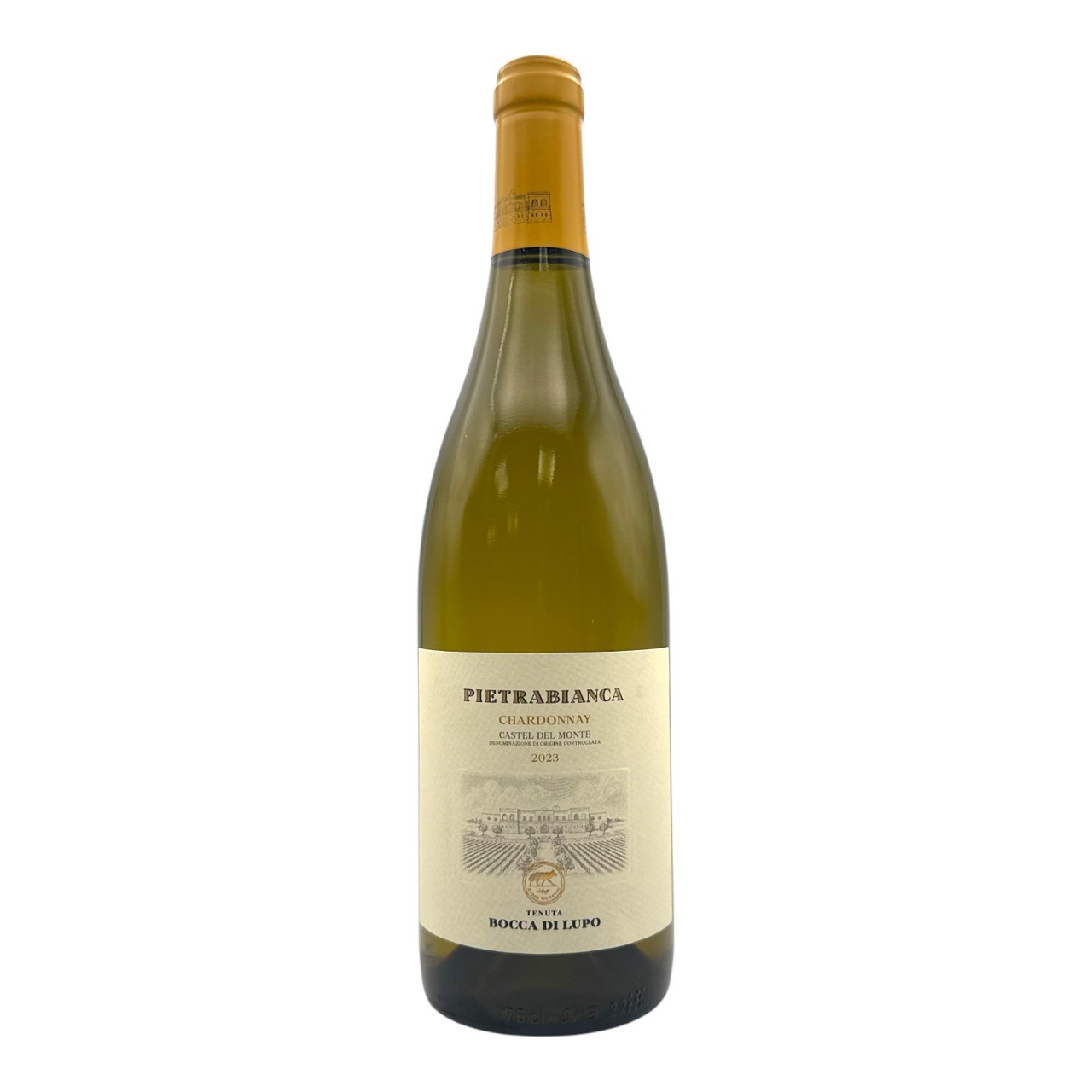 TORMARESCA Pietrabianca Castel del Monte by Antinori - Puglia 2023 Bottle ORG/BIO Image