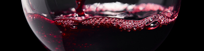 Web Banner 20213