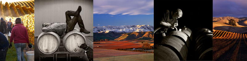 Greywacke Banner